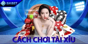 Cách Chơi Tài Xỉu