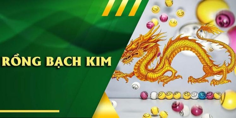 Rồng Bạch Kim đã được biết đến là  công cụ soi xổ số lâu đời nhất 2024